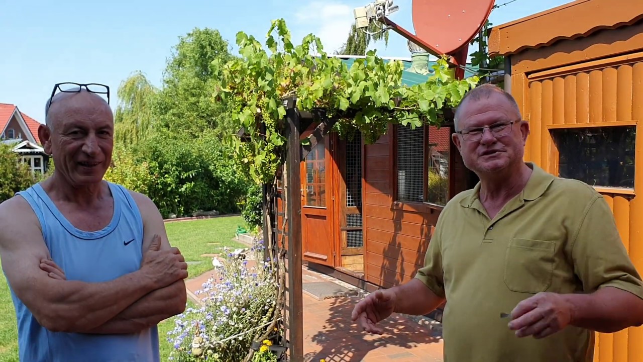 Kümes Ziyareti - Michael ALMANYA