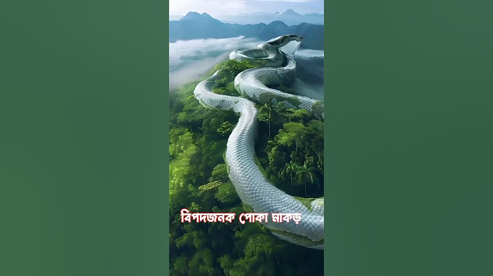 সাপের কামড় থেকে বাঁচার দোয়া🤲🐍#ইউটিউবশর্টভিডিও #youtubeshorts #islamicvideo #রাসেলভাইপার