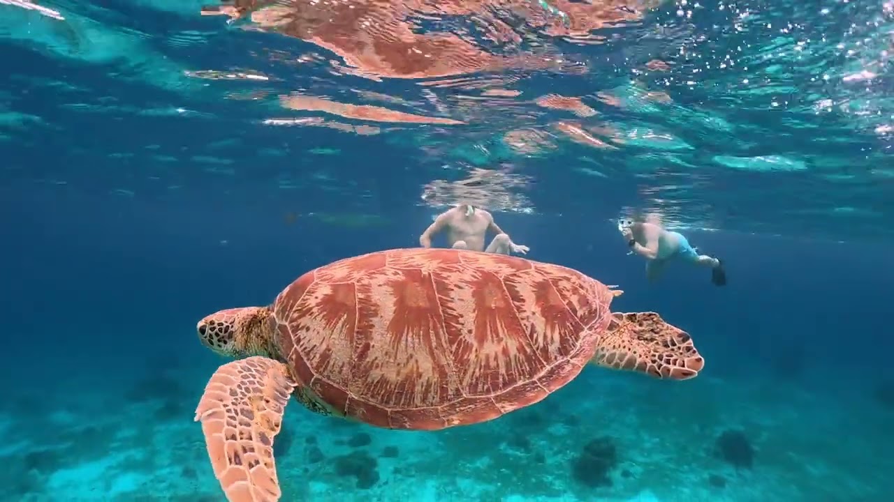 Vacation reel