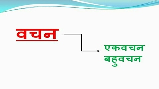 hindi grammar number वचन best hindi vyakaran