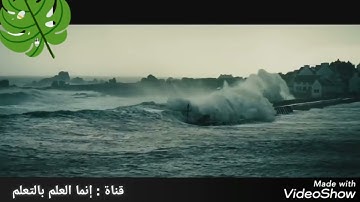 تلاوة ممتعة بصوت رائع / القارئ: أبوبكر الطيب