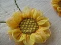 BELLO GIRASOL