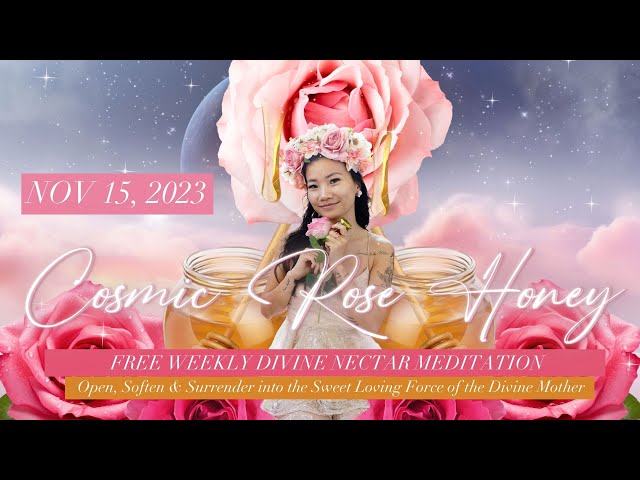 Cosmic Rose Honey Meditation 🌹🍯 | Divine Mother Kundalini Energy Meditation | Nov 15 2023
