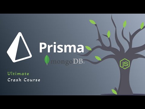 The Ultimate Prisma Guide: Unleashing MongoDB and Node.js Magic | Comprehensive Crash Course