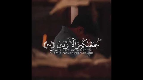 ماتيسر من سورة المرسلات🌿❤️ بصوت القارئ شريف مصطفى 😴🖤
