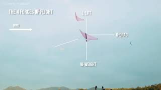 Mathematical Concepts Behind Wau Making - Traditional Kite of Malaysia (Kuala Terengganu)