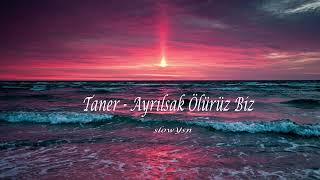 Taner - Ayrılsak Ölürüz Biz // slowed + reverb // Resimi