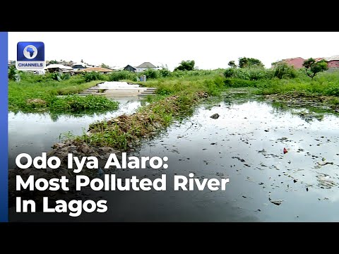 Odo Iya Alaro The Most Polluted Lagoon In Lagos