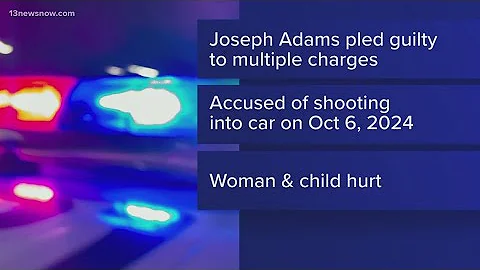 Man sentenced to life in prison after James City County road rage shooting last year