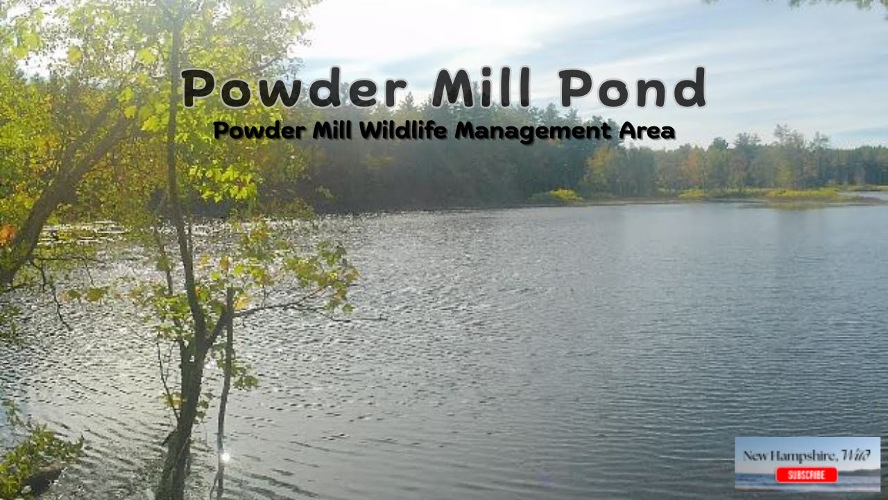 Powder Mill Pond
