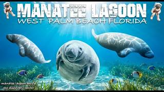 "FREE Manatee Viewing! 🥦 Exploring West Palm Beach Manatee Lagoon" Florida Roadside Attractions