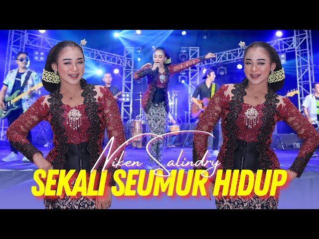 SEKALI SEUMUR HIDUP - Niken Salindry (Official Music Video ANEKA SAFARI) class=