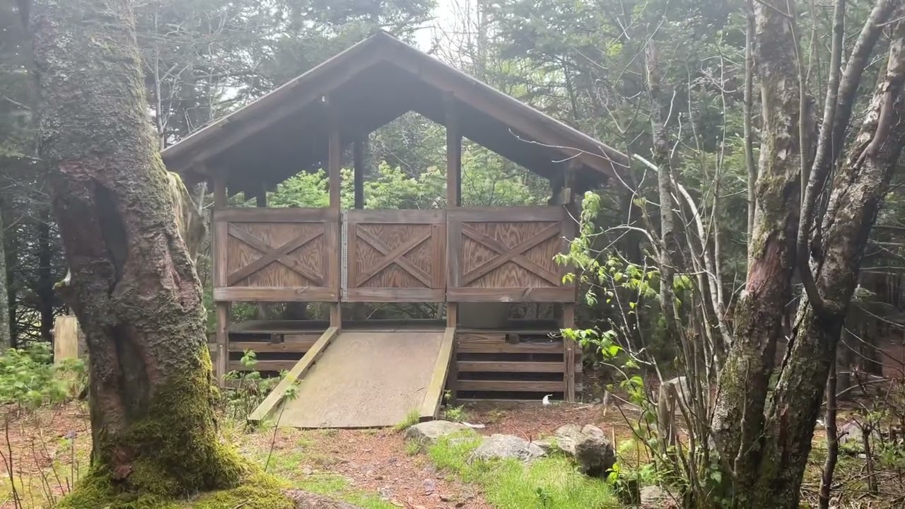 Day 56: Lost Mountain Shelter to Thomas Knob Shelter || Appalachian Trail 2022