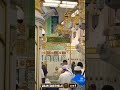 Riyaz ul Jannah in Oudh 💚🌹#madina #love #riyazuljannah #masjid #umrah #haji #namaz #shorts #islam