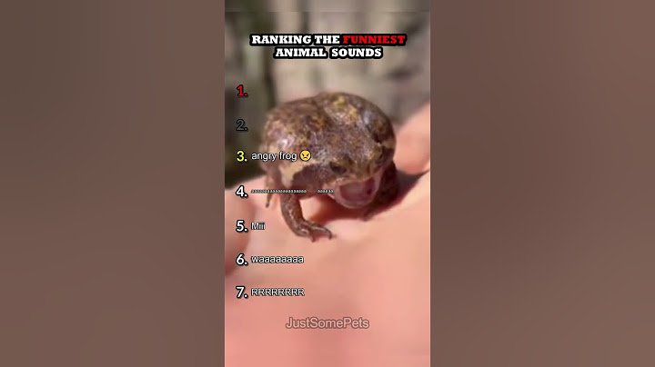 Ranking The Funniest Frogs Sounds Part 2