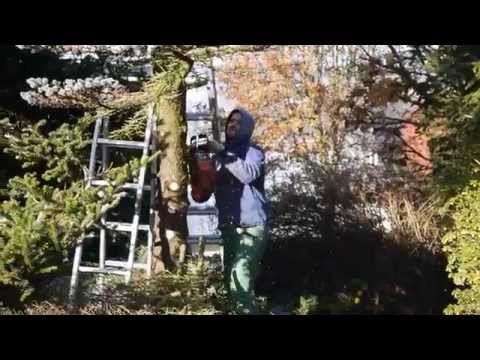 Ein Mann mit Säge :) video phone beyonce mp3