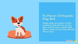 Top 10 Essential Pet Care Tips Every Owner Needs to Know | H Pet Family