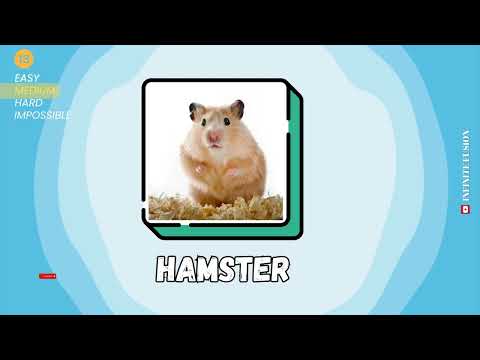 guess the animal by images\ 25 animals\ easy, medium, hard and medium\Infinite Fusion
