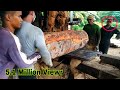 SAWMILL KAYU ALBASIA