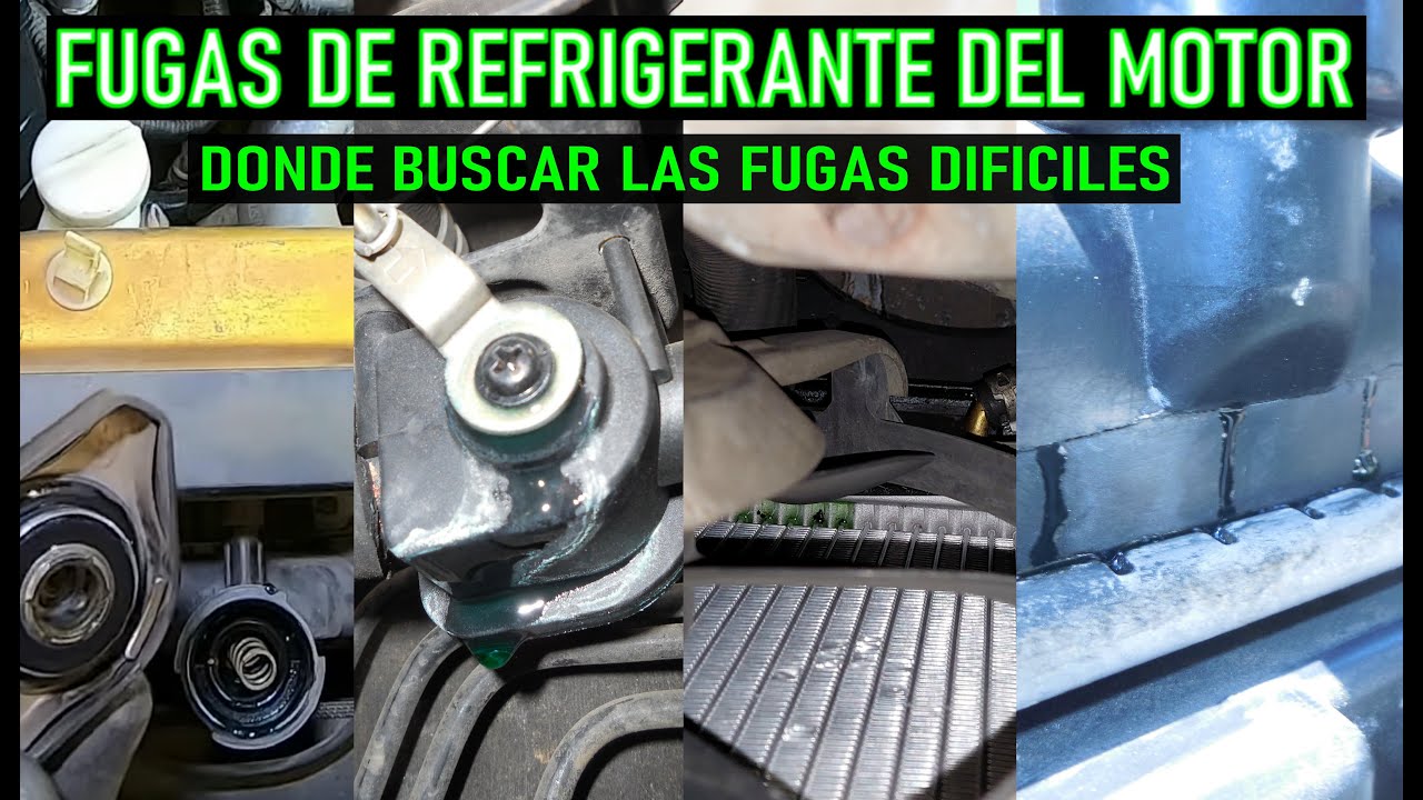 Por qué mi coche tiene pérdidas de líquido refrigerante? - Taller mecánico  en Arganda del Rey