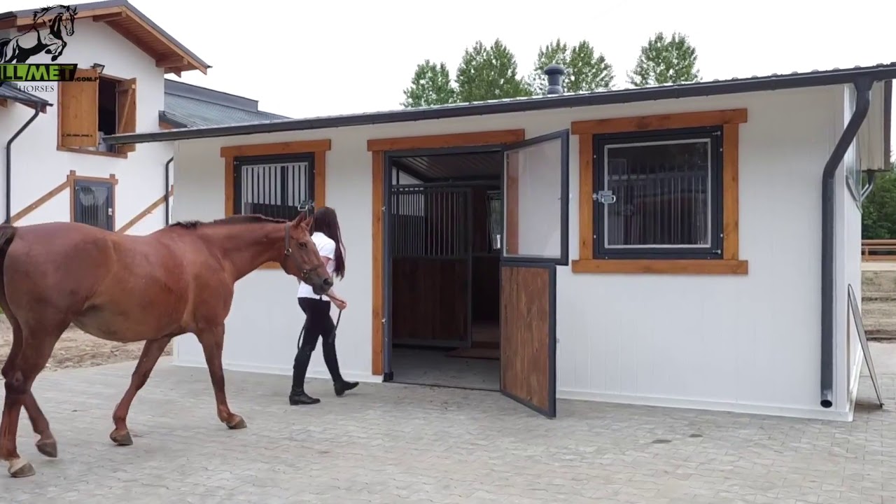 Gillmet Horses - prezentacja