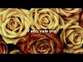 Zazie - J&#39;envoie Valser (Sub. Español)