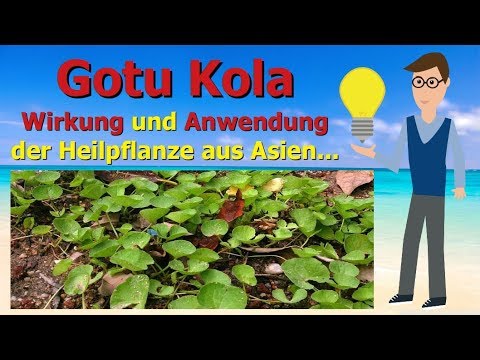 Video: Gotu Kola Pflanzeninformationen - Wie man Gotu Kola im Garten anbaut