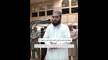 Excellent Recitation Style Of His Own Surah Ya Sin سورۃ یس By Maulana AbdulWaheed 