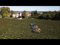 Vendanges aux domaines fabre