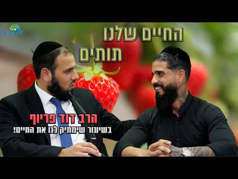 הרב דוד פריוף | החיים שלנו תותים | שידור חי!