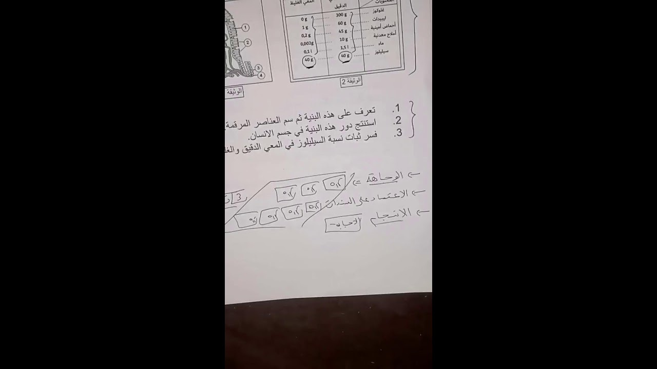 حل تمارين للسنة الرابعة متوسط
