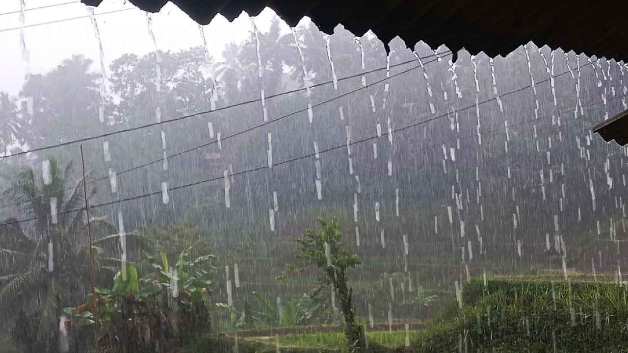 Непрерывные звуки сильного дождя | Мгновенный глубокий сон, избавление от бессонницы