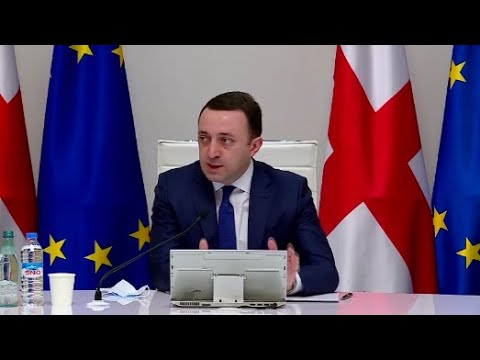 პრემიერ-მინისტრის ირაკლი ღარიბაშვილის განცხადებები მთავრობის სხდომაზე