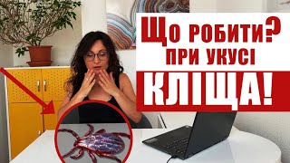 Бореліоз та кліщовий енцефаліт. Як уберегти себе?