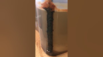 Removing rust from nuts and bolts through the magic of electrolysis. Part#3.