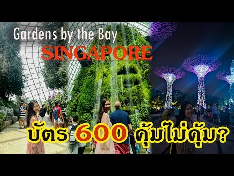ใครมีแพลนไปสิงคโปร์กดดูก่อน garden by the bay บัตร 600 ผ่าน klook คุ้มไม่คุ้ม ข้างในมีอะไรบ้าง