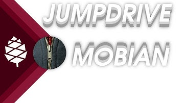 How To Install Different OSes On The PinePhone! + Mobian Overview