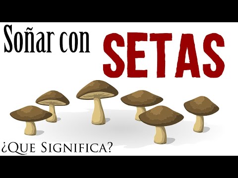 Video: ¿Por qué soñar con recoger setas en el bosque?