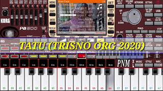 Tatu Didiikempot ORG 2020