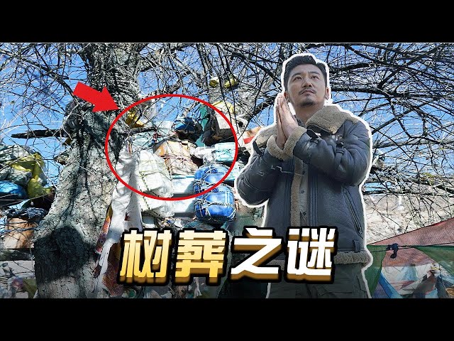 第264集 天堂的孩子---探秘白玉树葬之谜|冒险雷探长Lei's adventure