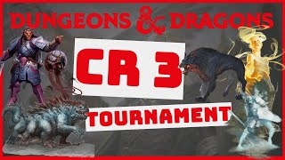 D&D CR 3 Tournament || Presented by the Interplanar Fighting Championships
