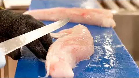 Direct Seafoods filleting tutorial: Preparing fish loins (Monkfish)