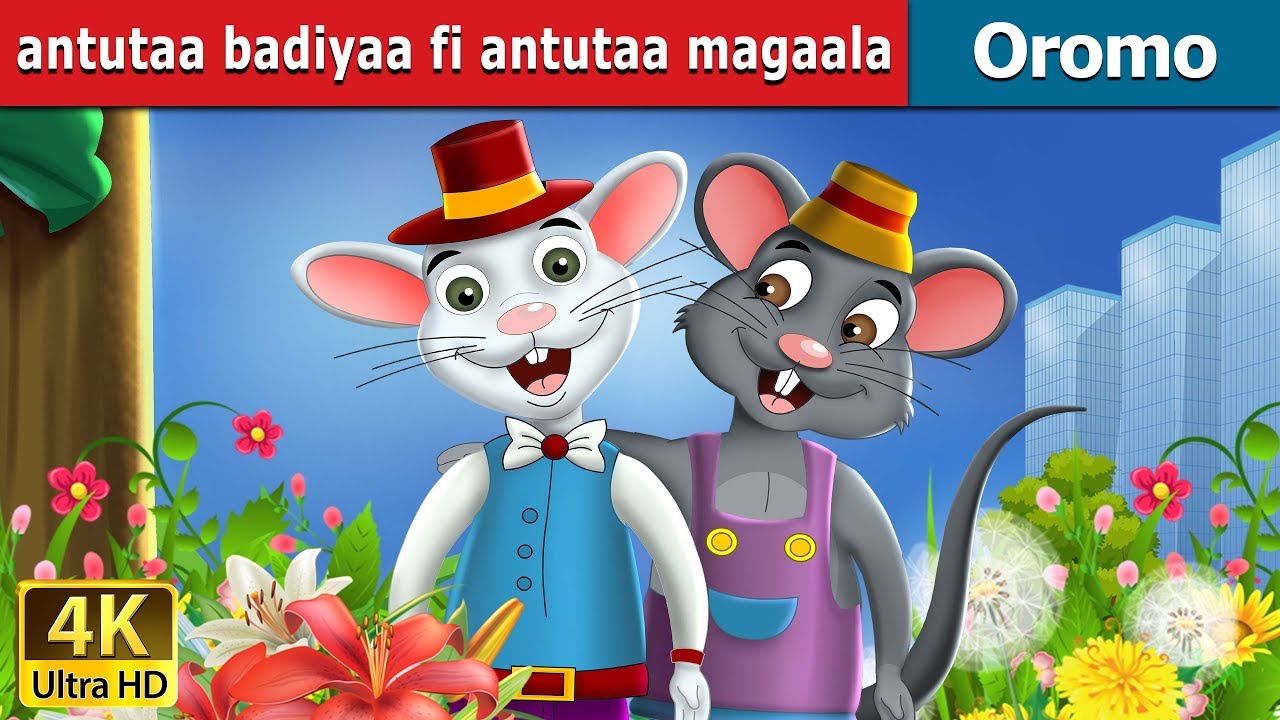 Antutaa badiyaa fi antutaa magaala  Town Mouse and Country Mouse Story in Oromo  Oromo Fairy Tales