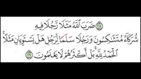 سورة الزمر الآية 29