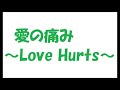 愛の痛み~Love Hurts~/矢沢永吉_361 cover by 感謝