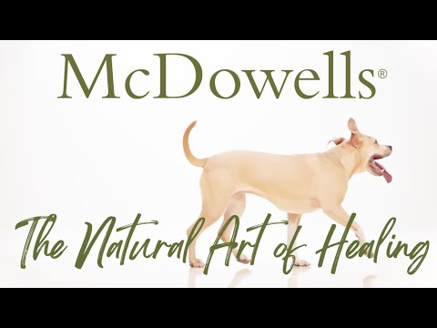 Vidéo: Infections Masticatoires Canines