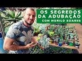 Os Segredos da Adubação com Murilo Soares