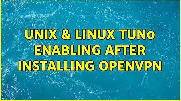 Unix & Linux: tun0 enabling after installing openvpn