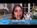 Salma Hayek's Pet Owl Coughed Up a Hairball on Harry Styles