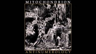 Mitochondrion - Insummation